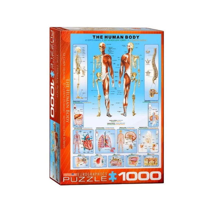 The Human Body (1000pc) Eurographics