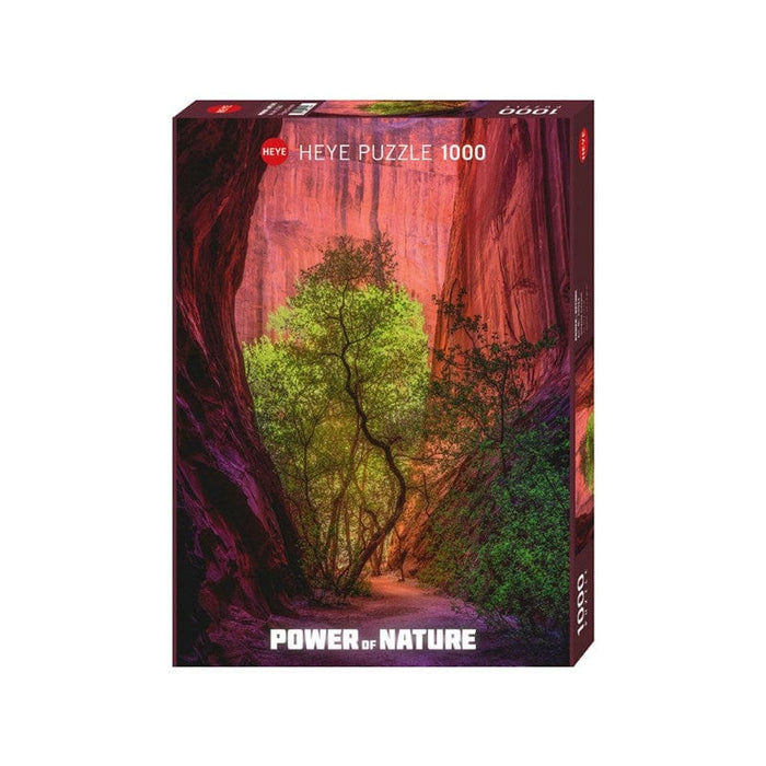 Power Of Nature - Singing Canyon (1000pc) Heye