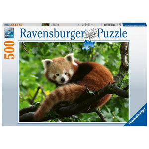 Ravensburger Jigsaws Red Panda Photo (500pc) Ravensburger