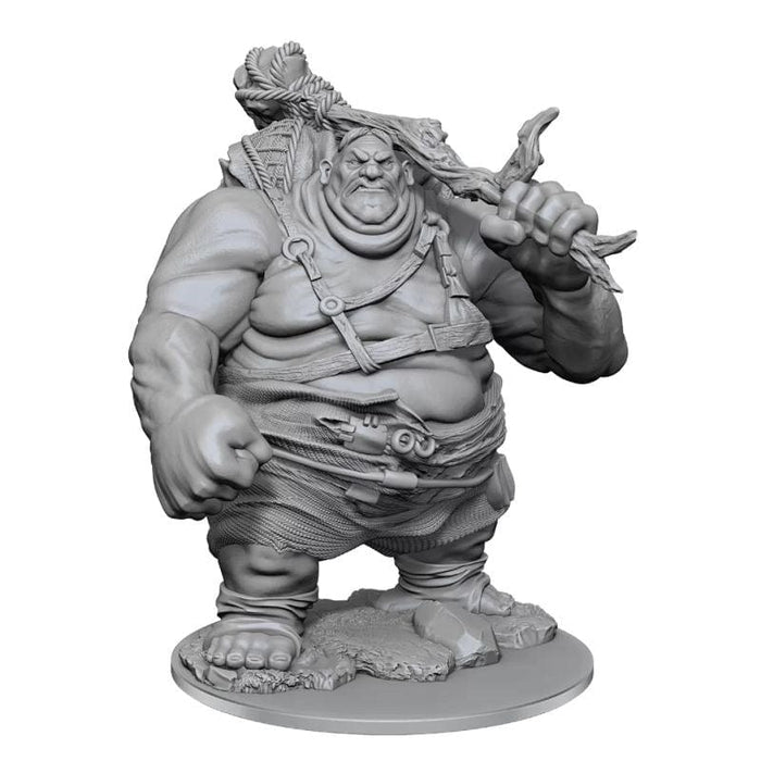 Wizkids Unpainted Miniatures - Nolzur's - Hill Giant 2